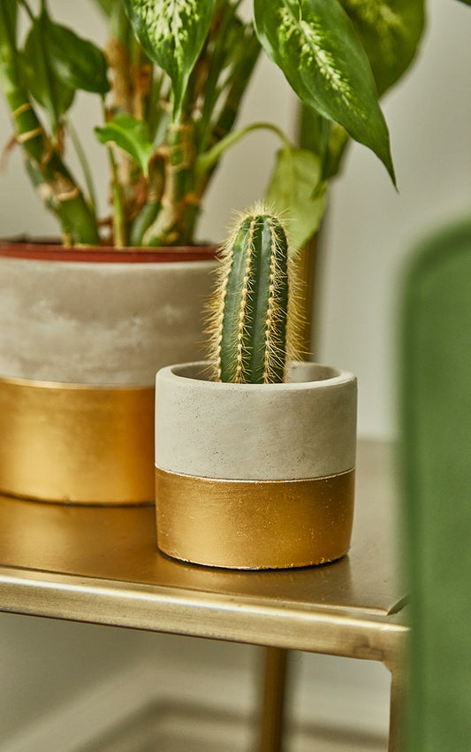 Mini Gold Dipped Cement Planter