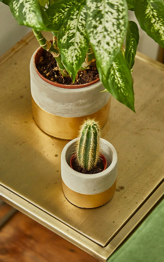Mini Gold Dipped Cement Planter
